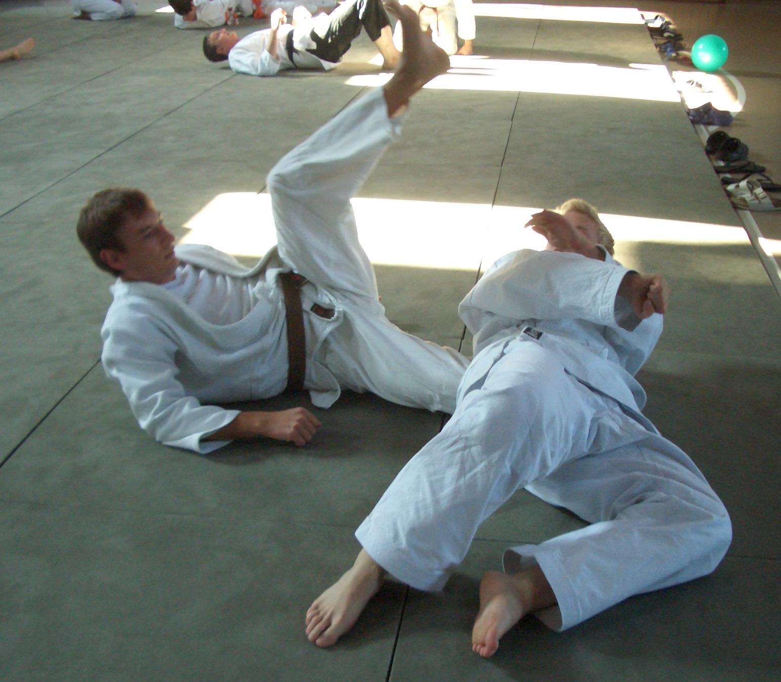 Ju Jutsu Technik